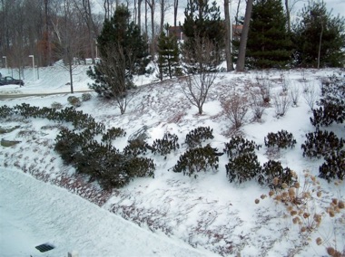 100_0499-vi