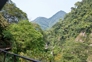 dsc0706