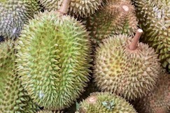 durians-vi
